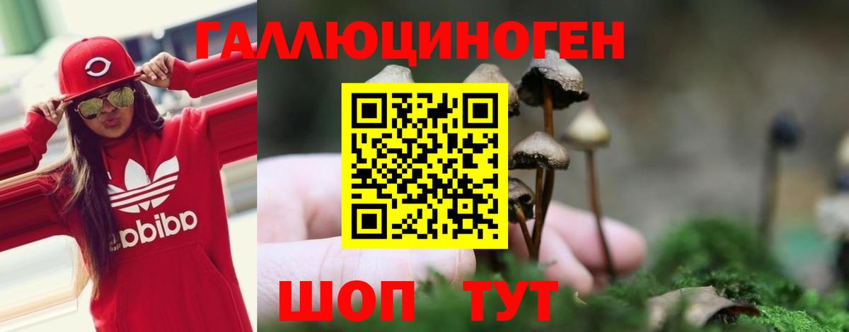 Нефтекумск  Псилоцибиновые грибы Psilocybine cubensis  Вход с VPN  дарнет шоп  Галлюциногенные грибы Psilocybe 